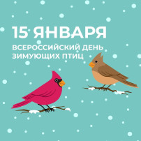 День зимующих птиц России День зимующих птиц России.